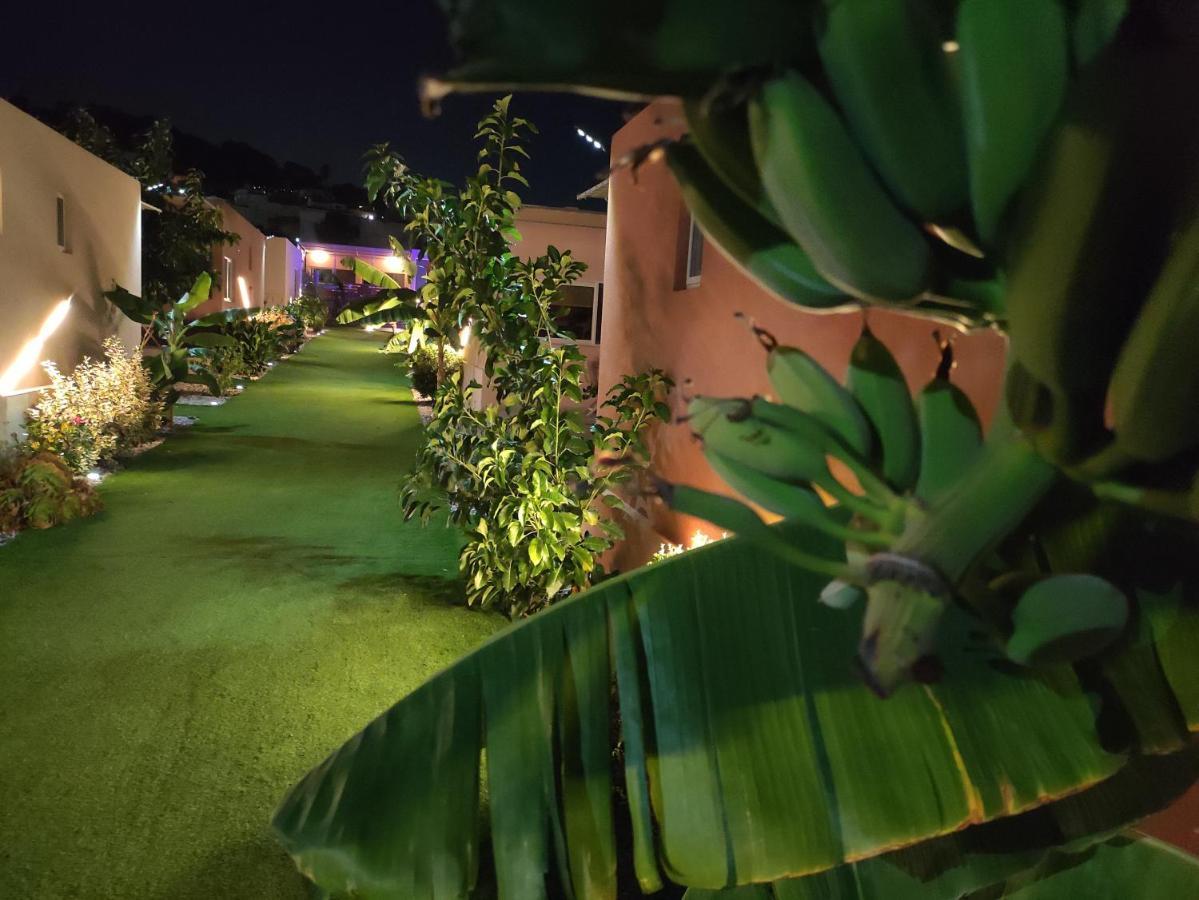 Modular Bungalows With Heated Pool Artemis Greece Экстерьер фото